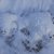 Bilder 2021 - Wettbewerb Schneechallenge